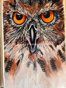 owl